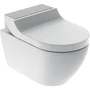 Kép 1/5 - Geberit AquaClean Tuma Comfort komplett higiéniai berendezés fali WC-vel, szálcsiszolt rozsdamentes acél 146.293.FW.1